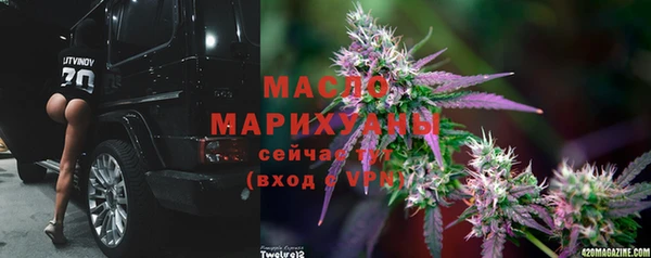 шишки Аркадак