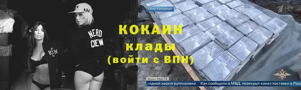 стаф Алексин
