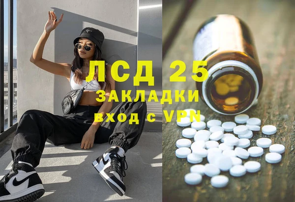 стаф Алексин