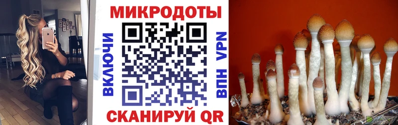 Галлюциногенные грибы MAGIC MUSHROOMS  купить  цена  Задонск 